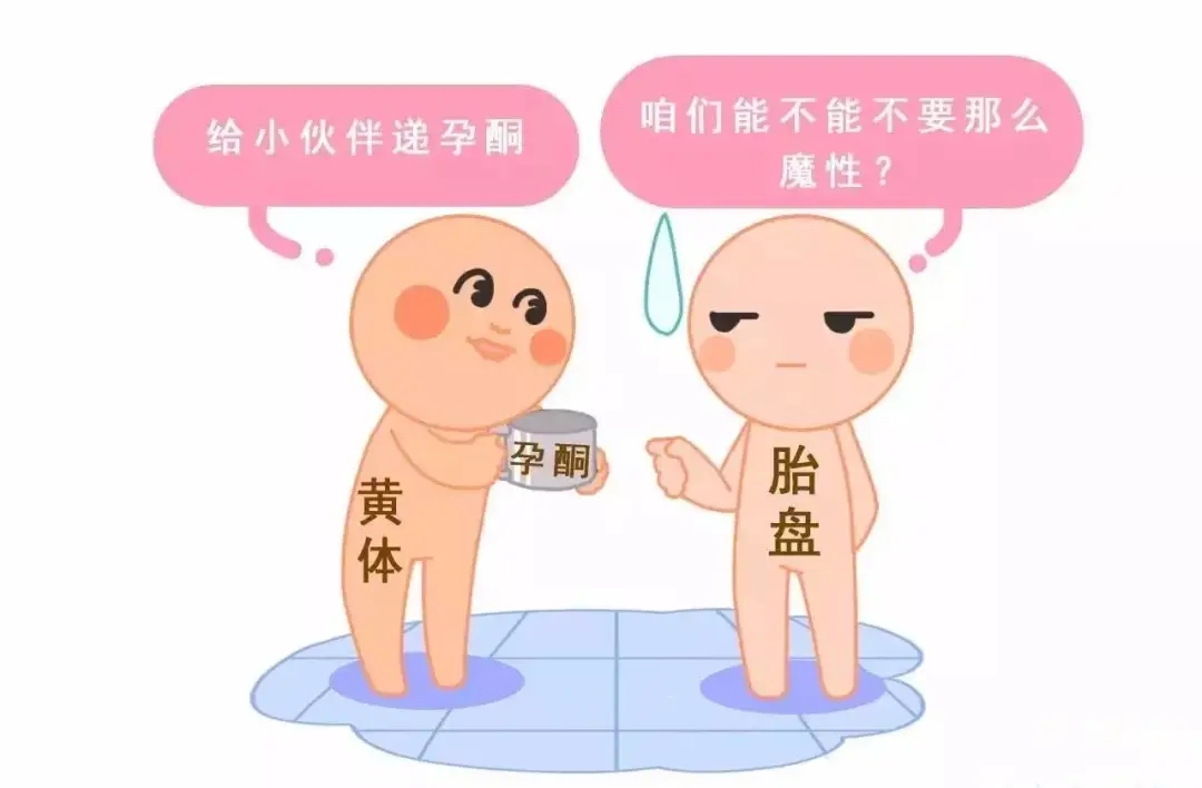 HCG和孕酮低一定會(huì)流產(chǎn)？備孕女性必須知道的孕早期“秘密”